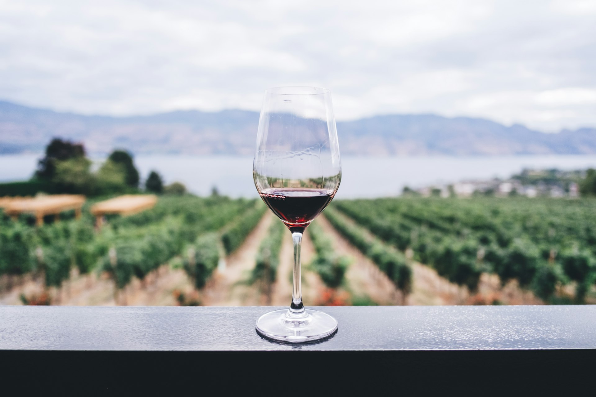 Vins de caractère et d'émotion en Languedoc.